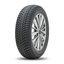 Roadstone Winguard SnowG WH2 165/70R14 85T  XL