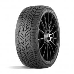 Doublestar Winterking DW08 165/70R14 81T