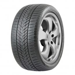 Roadmarch WinterXPro 999 245/55R19 107H  XL